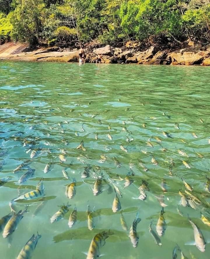 Praia Grande Ubatuba Casa Nova 5D Εξωτερικό φωτογραφία